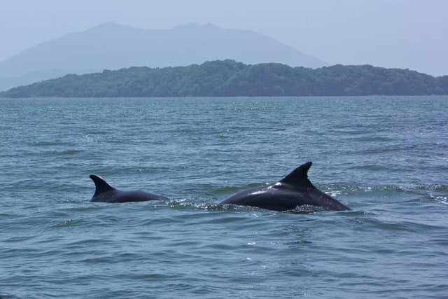 Golfo de Fonseca