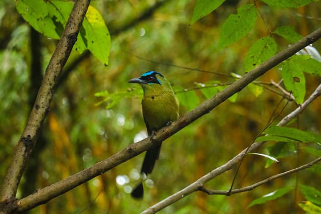 Parque Natural Balboa
