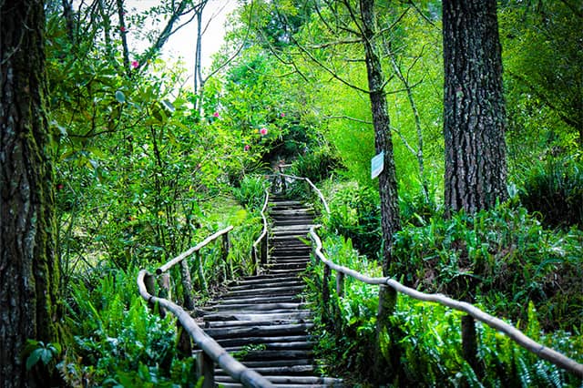 Volcán de San Salvador – Parque Nacional El Boquerón