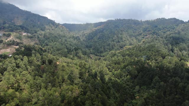 La Palma