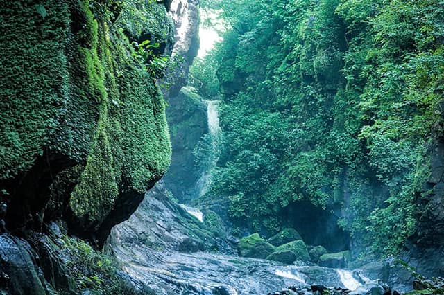 Tamanique