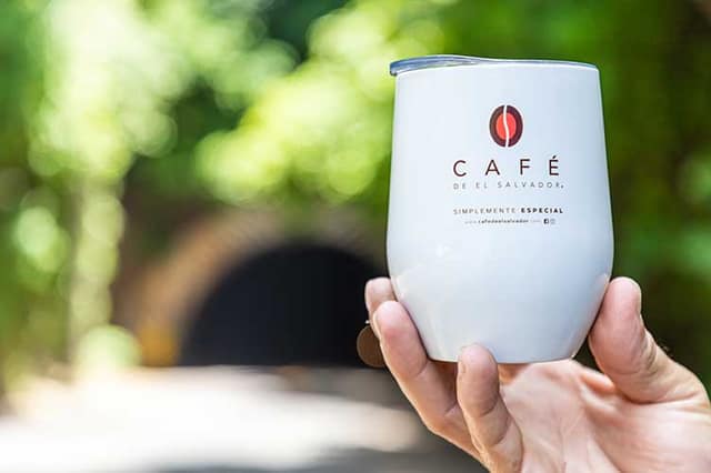 Fincas cafetaleras en la Ruta de Las Flores