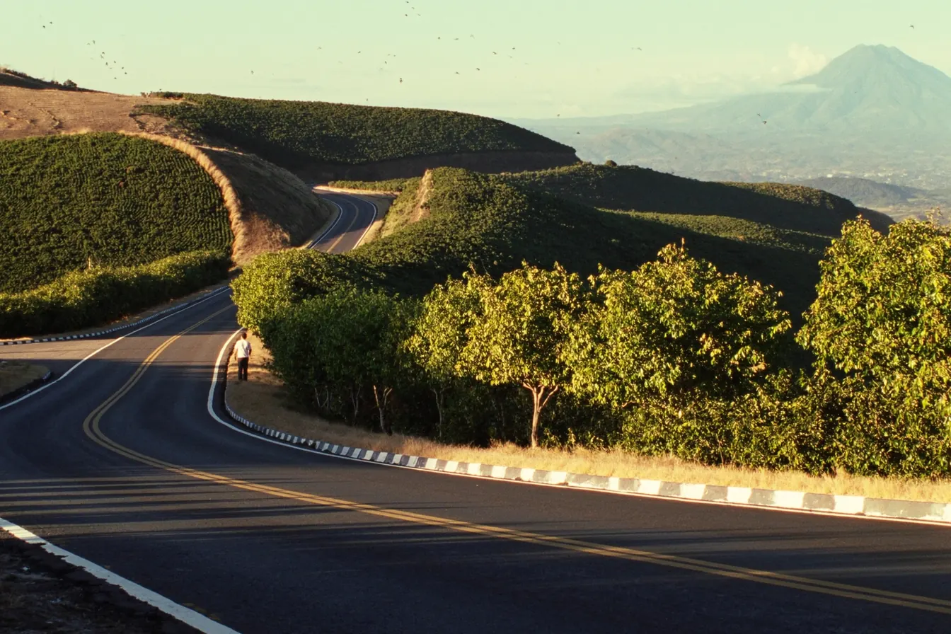 Carretera entre cafetales en la Ruta de las Flores